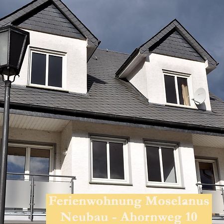 Ferienwohnungen Ferienland Cochem بروتيج-فانكيل المظهر الخارجي الصورة