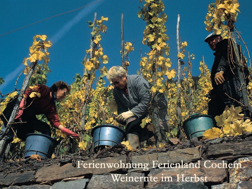 Ferienwohnungen Ferienland Cochem بروتيج-فانكيل المظهر الخارجي الصورة