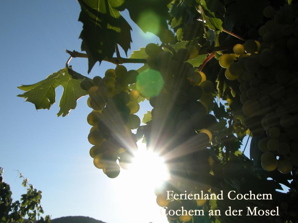 Ferienwohnungen Ferienland Cochem بروتيج-فانكيل المظهر الخارجي الصورة