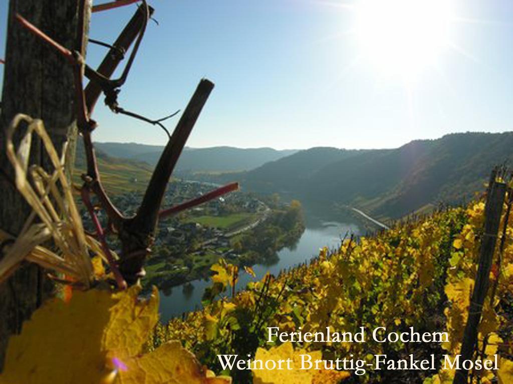 Ferienwohnungen Ferienland Cochem بروتيج-فانكيل المظهر الخارجي الصورة